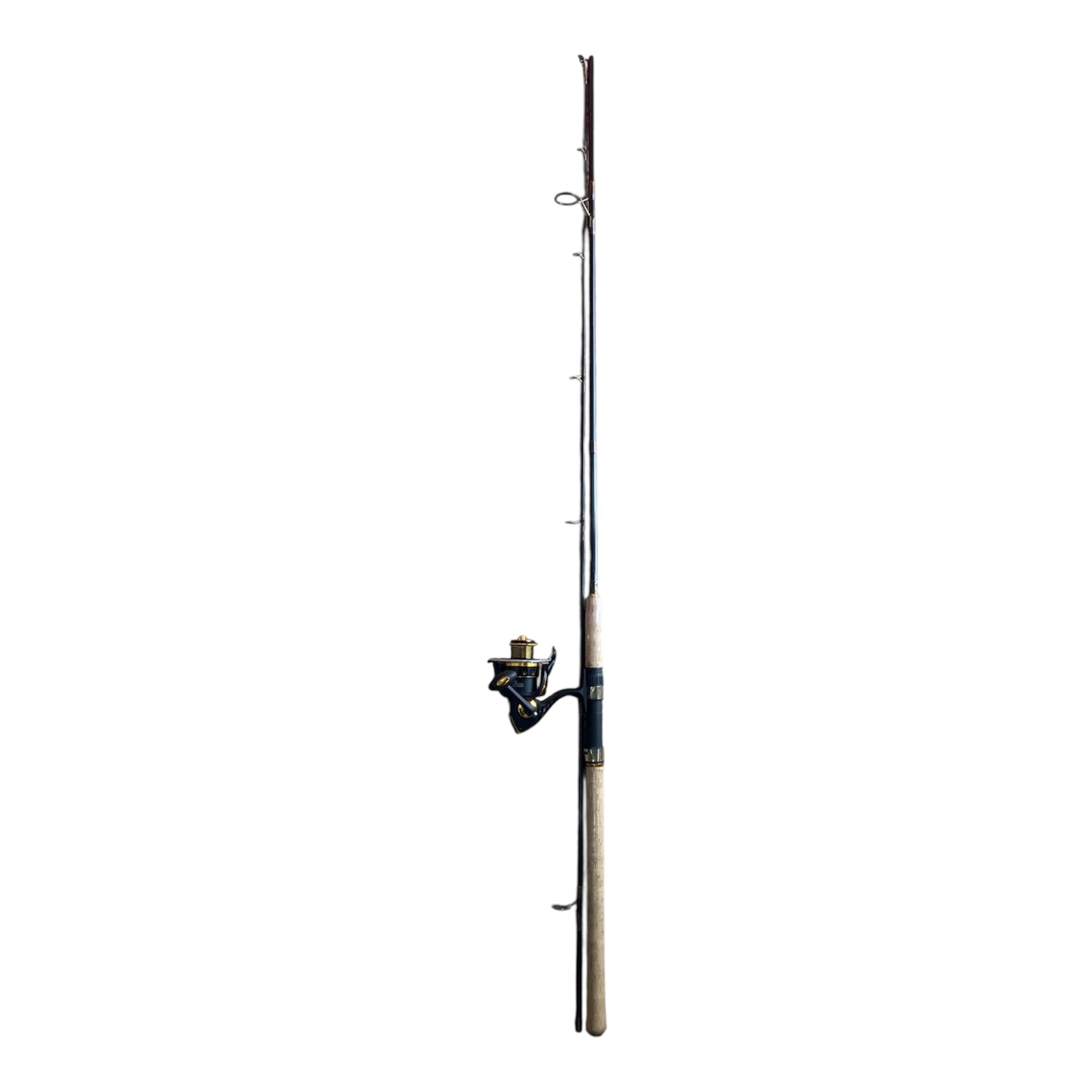 Caña de carbón 2,70 m con reel frontal