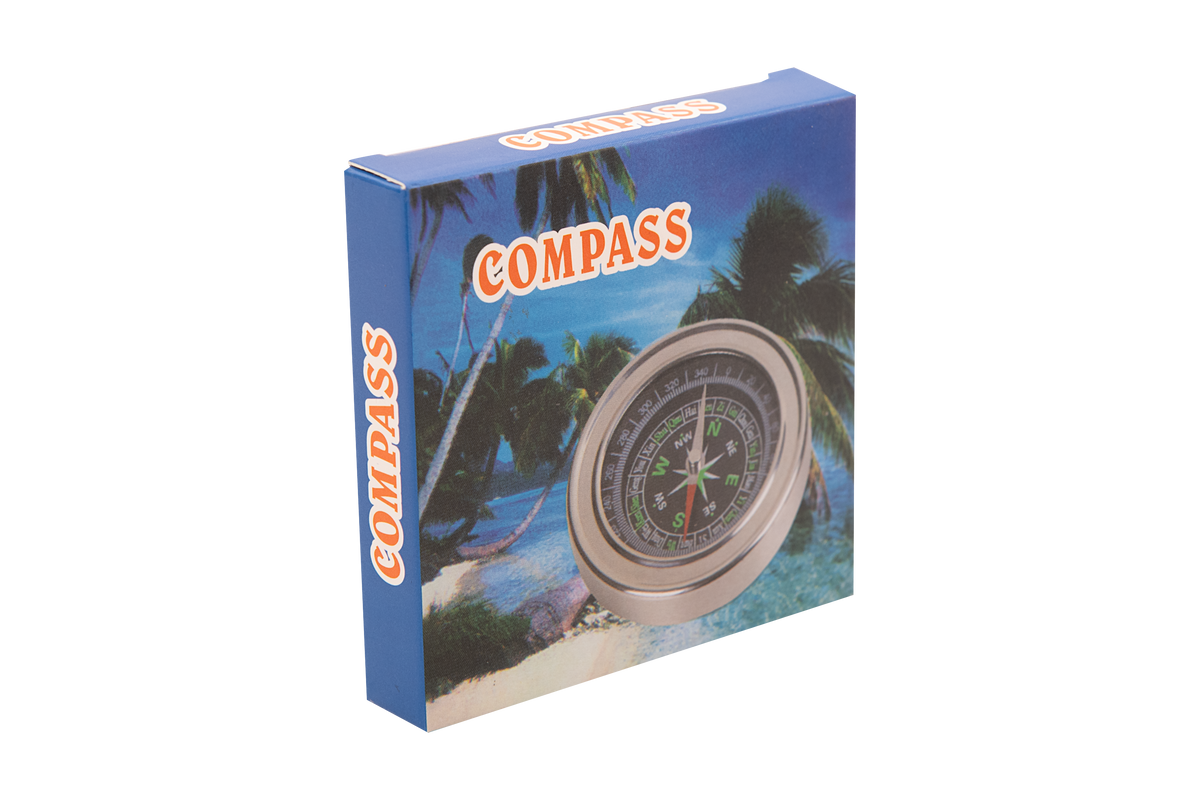 Brújula Compass Plateada